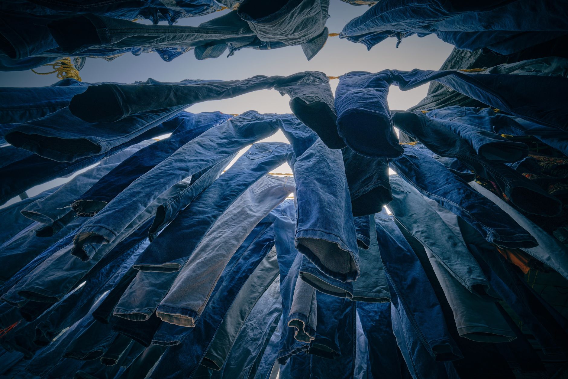 Looking up at a cluster of denim jeans hanging to dry against a bright sky.